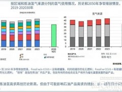 IEA：全球氫能需求今年將達(dá)1億噸！中國電解槽產(chǎn)能占八成！