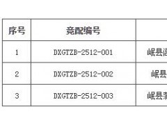 甘肅岷縣120MW“馭風(fēng)行動(dòng)”項(xiàng)目啟動(dòng)競(jìng)配!