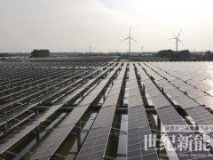 深能南控風光氫儲一體化項目成功并網